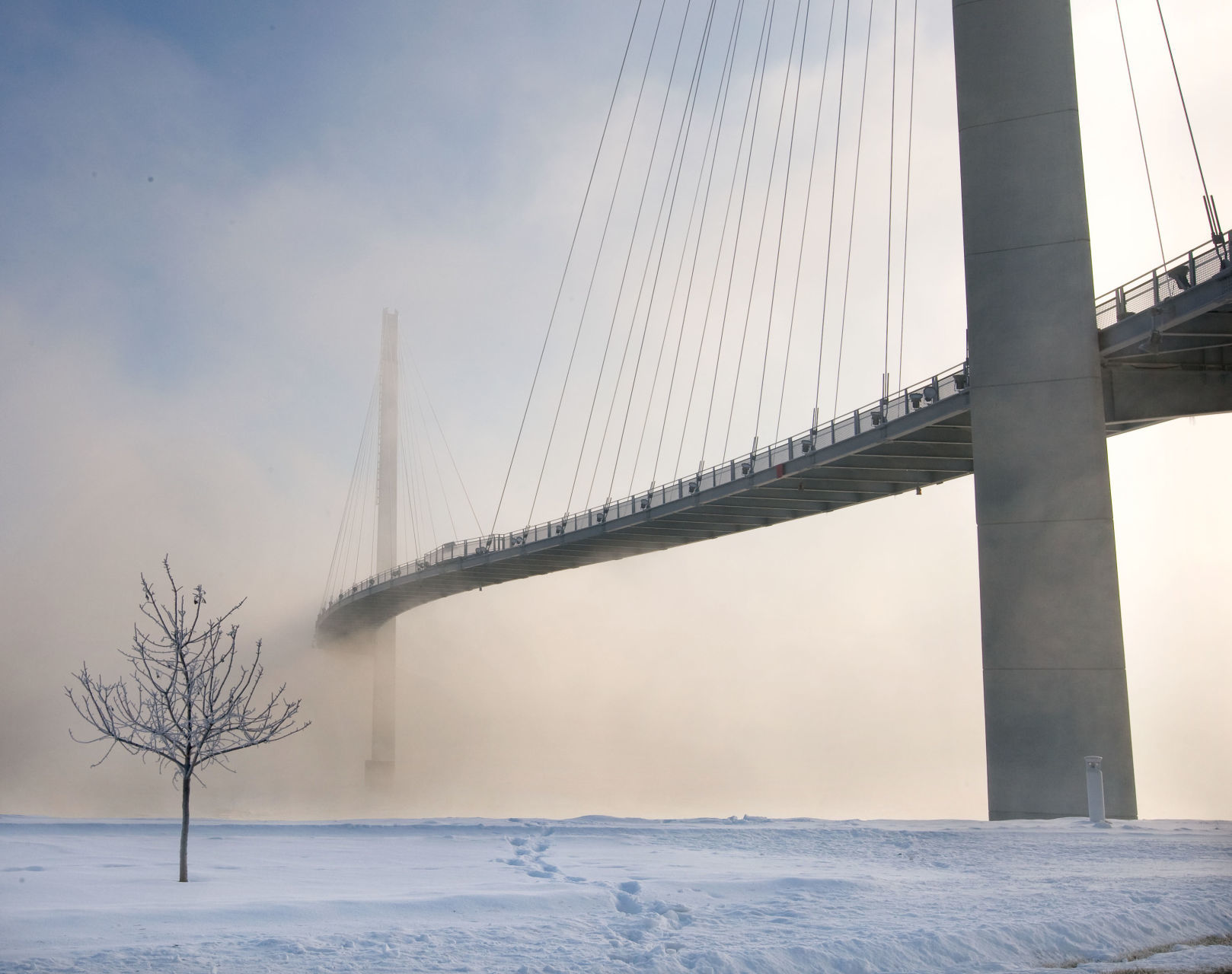 2010 - bridge
